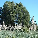 Sierra Del Solorio Iruecha