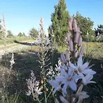 Sierra Del Solorio