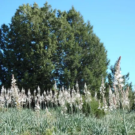 Sierra Del Solorio Iruecha
