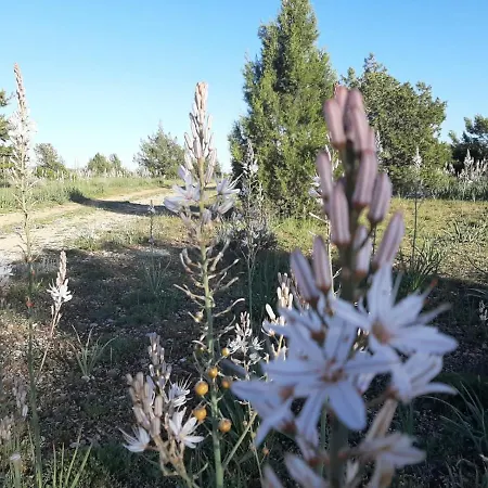 Sierra Del Solorio