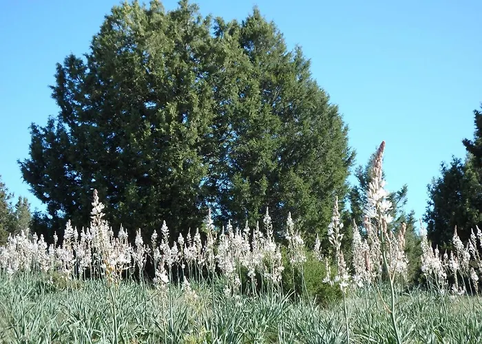 Sierra Del Solorio Iruecha