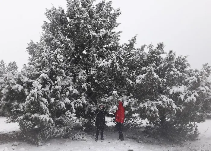 Sierra Del Solorio *